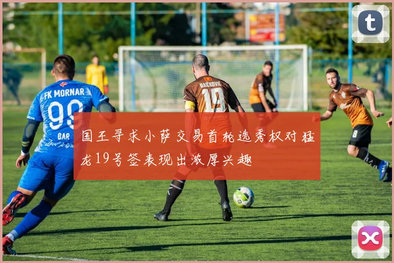 国王寻求小萨交易首轮选秀权对猛龙19号签表现出浓厚兴趣